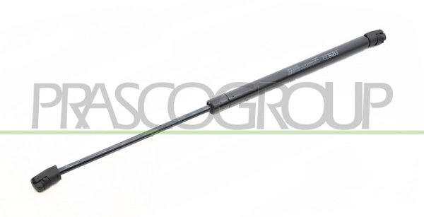 Gas Spring, boot/cargo area (RN3259065)