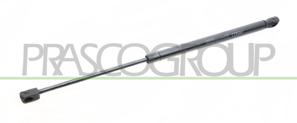 Gas Spring, boot/cargo area (RN0239055)