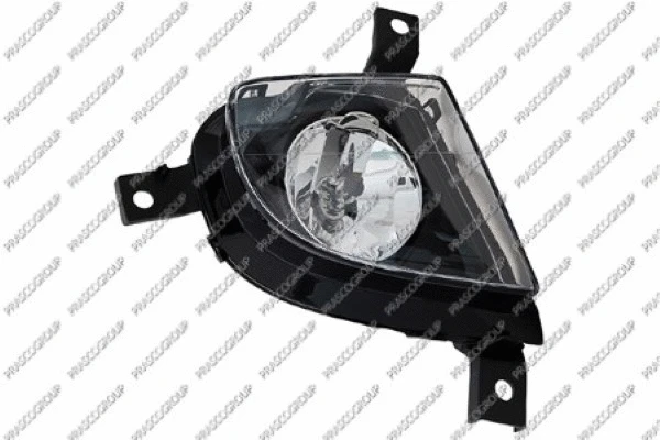 Front Fog Light (BM0264416)