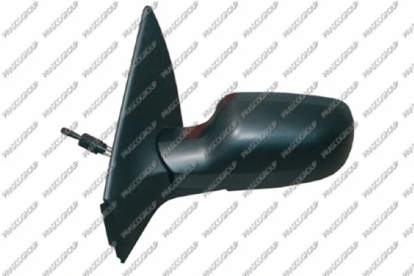 Exterior Mirror (RN4207114)