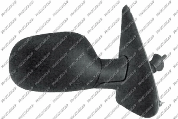 Exterior Mirror (RN0267123)