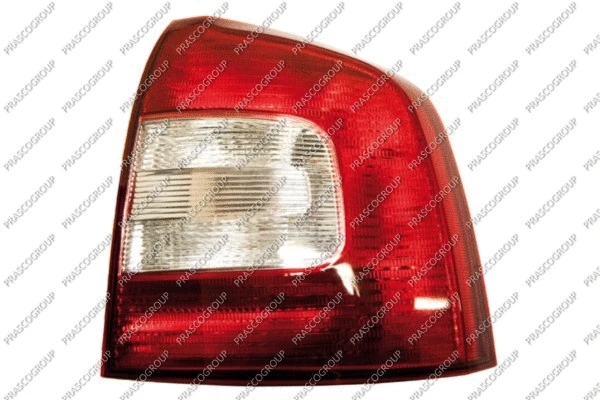 Tail Light Assembly (SK0284163)