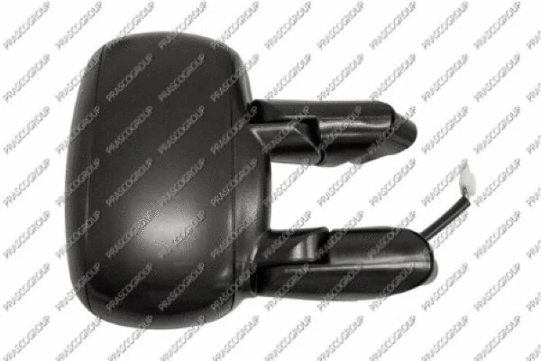 Exterior Mirror (FT9087313)