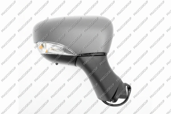 Exterior Mirror (RN3297323P)