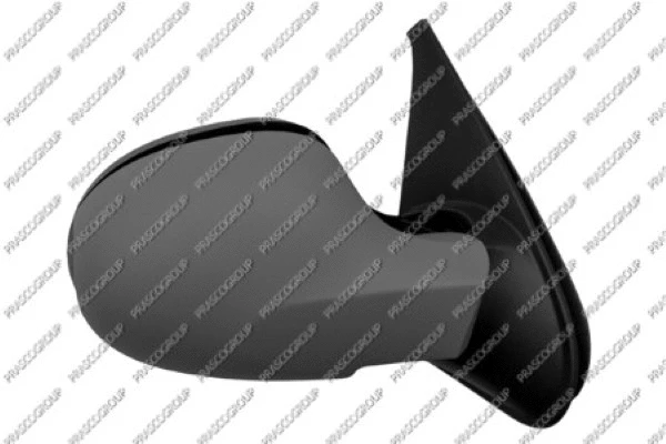Exterior Mirror (RN3267323)
