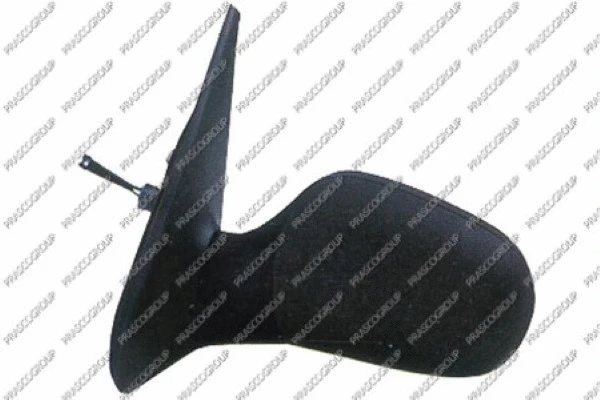 Exterior Mirror (RN3207314)