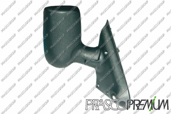 Exterior Mirror (FD9108003P)