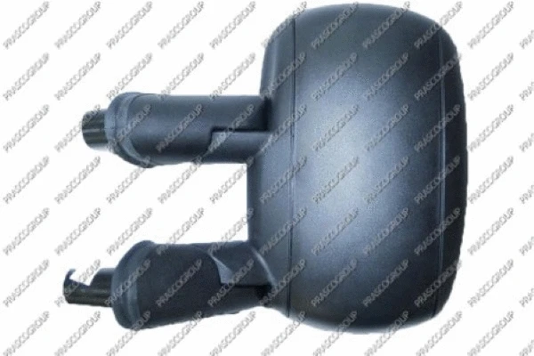 Exterior Mirror (FT9087014)