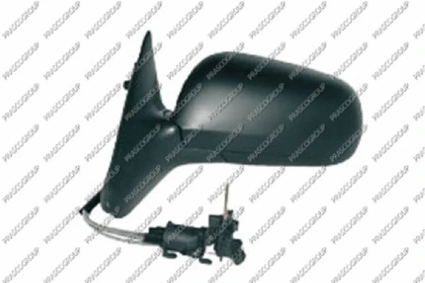 Exterior Mirror (SK0207114)