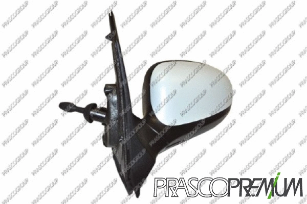 Exterior Mirror (FD0087124P)