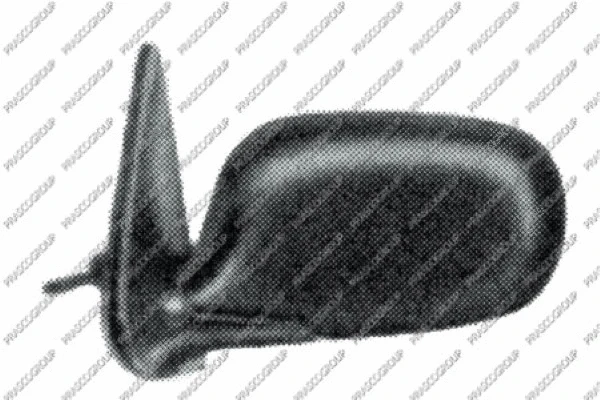 Exterior Mirror (DS0057113)