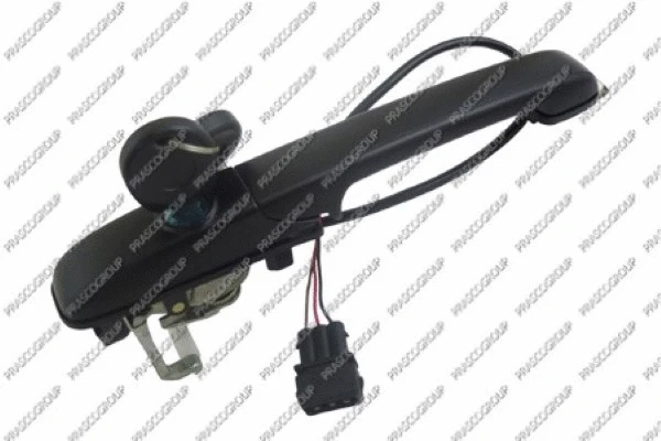 Exterior Door Handle (VG0518042)