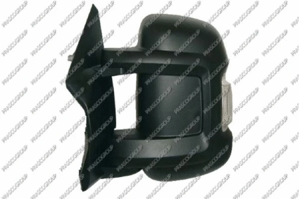 Exterior Mirror (FT9307004)