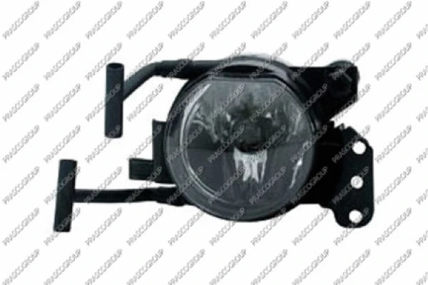Front Fog Light (BM0224413)
