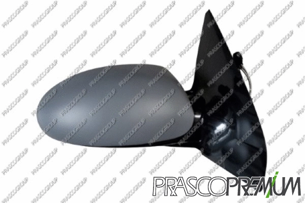 Exterior Mirror (FD4207323P)