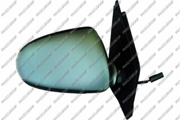 Exterior Mirror (ME3057313)