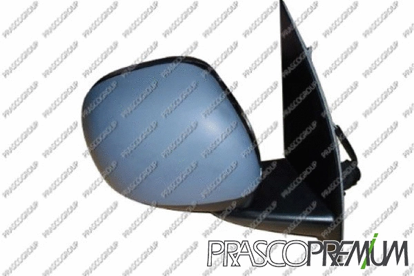 Exterior Mirror (FT1237104P)