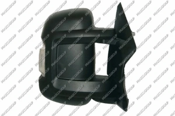 Exterior Mirror (FT9307003)