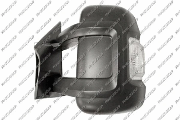 Exterior Mirror (FT9307014)