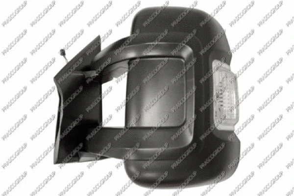 Exterior Mirror (FT9307114)