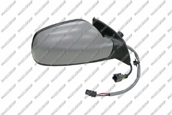 Exterior Mirror (PG4207325)
