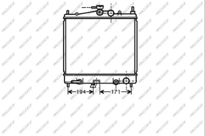Radiator, engine cooling (DS011R005)