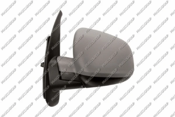 Exterior Mirror (RN9217324)