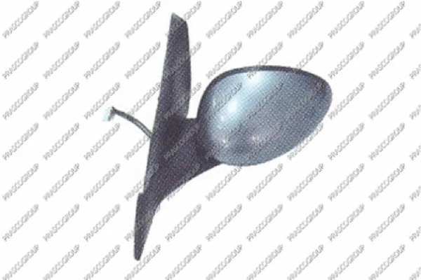 Exterior Mirror (AA6407354)