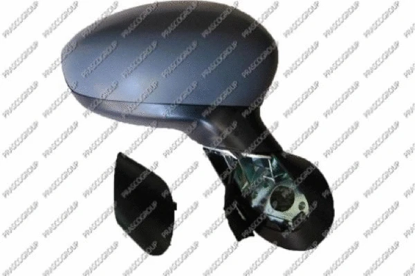 Exterior Mirror (FT0307313)