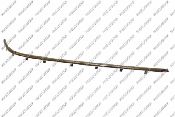 Trim/Protection Strip, bumper (BM0451258)
