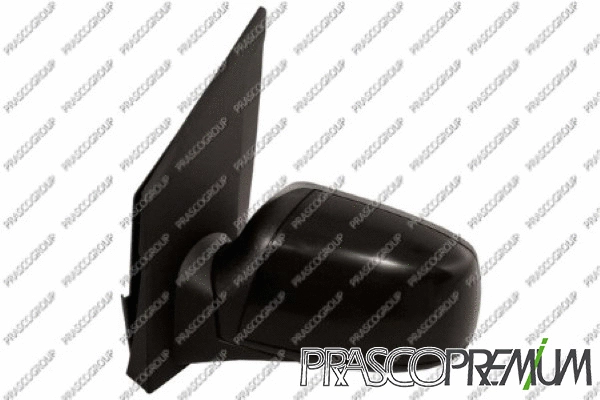 Exterior Mirror (FD3427314P)