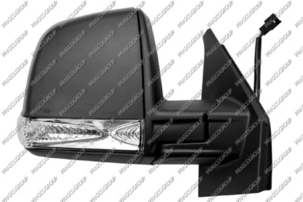 Exterior Mirror (FT9107313)