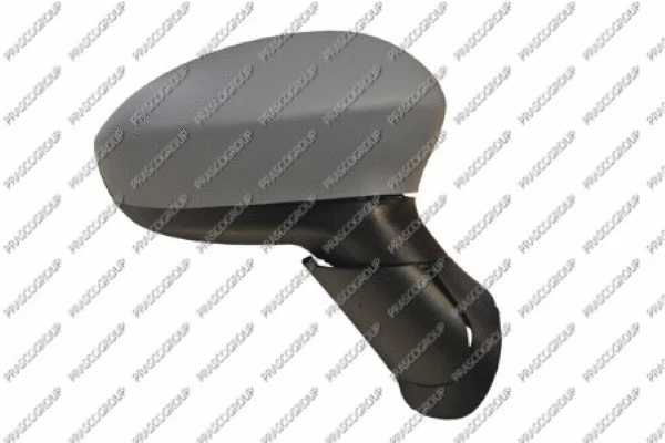 Exterior Mirror (FT3427013)