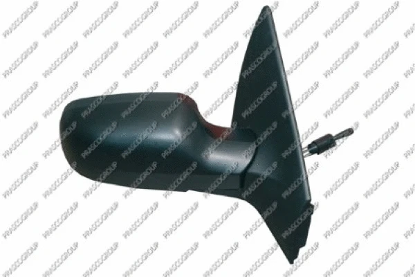 Exterior Mirror (RN4207113)