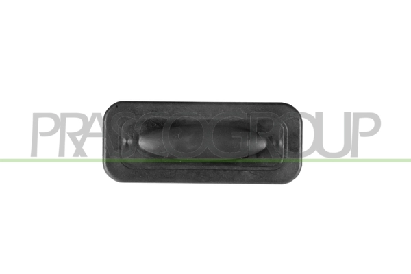 Switch, tailgate release (RN7008950)