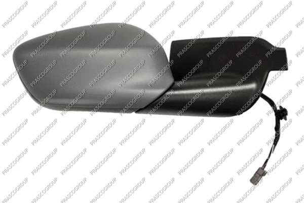 Exterior Mirror (CI5007313)