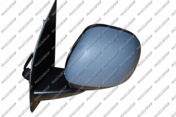 Exterior Mirror (FT1237103)