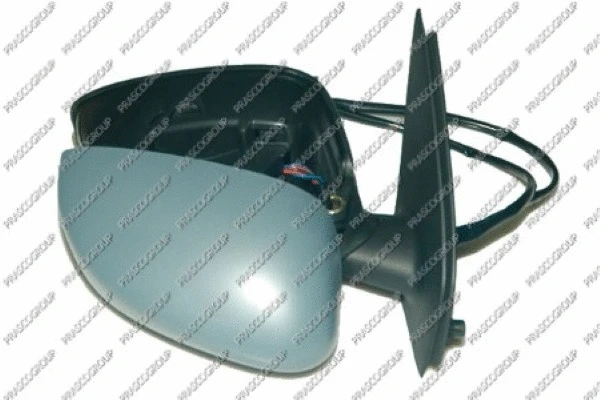 Exterior Mirror (FT4207313)