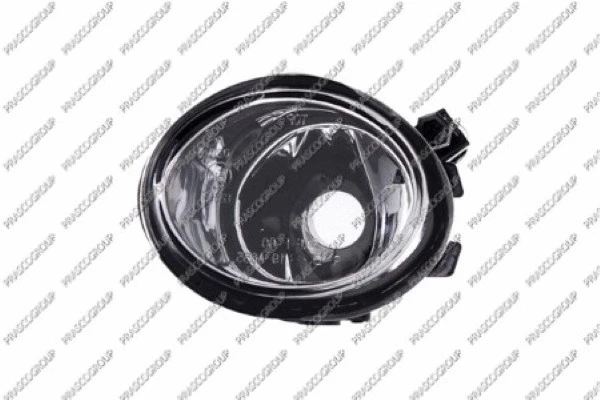 Front Fog Light (BM0214413)