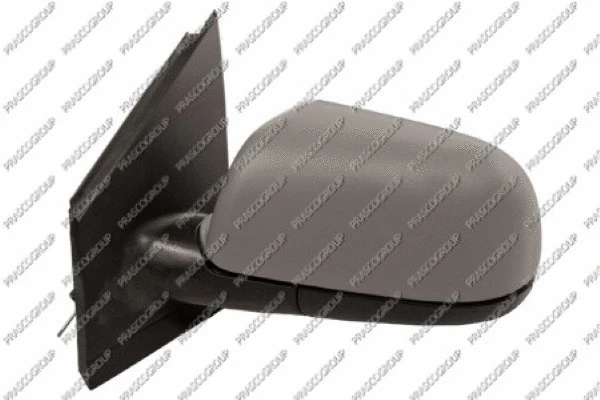 Exterior Mirror (VG0217124)