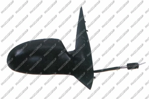 Exterior Mirror (FD4207123)