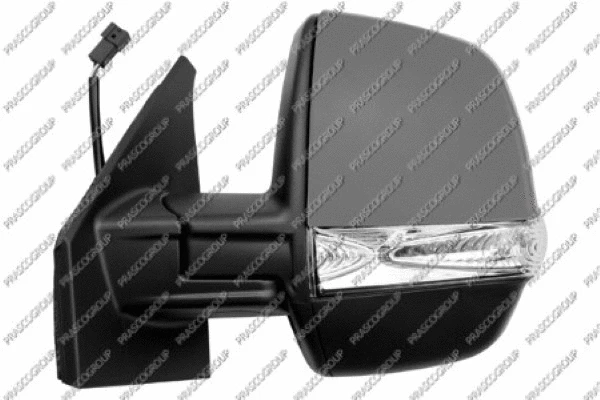 Exterior Mirror (FT9107344)