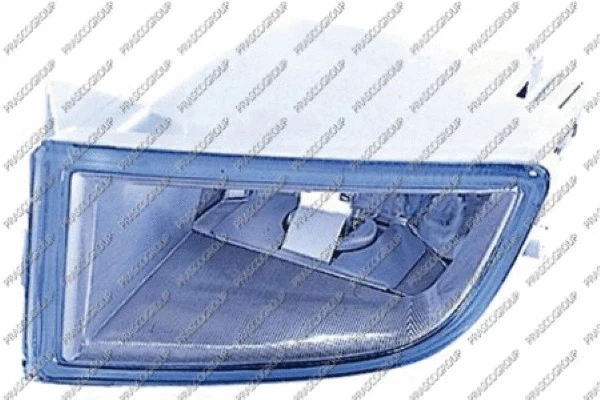Front Fog Light (SK3204414)