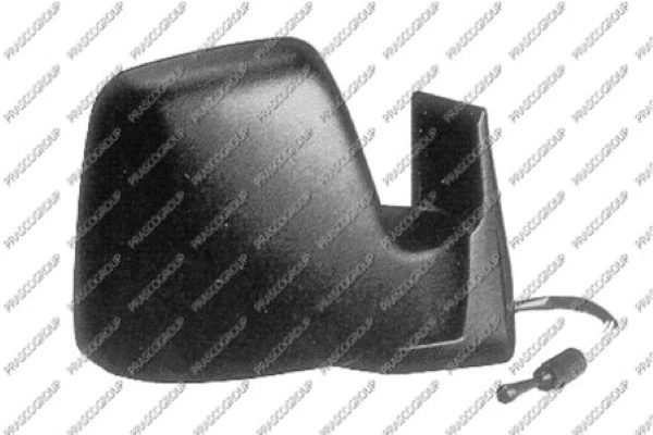 Exterior Mirror (FT9217003)