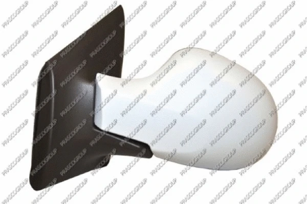 Exterior Mirror (RN3067314)