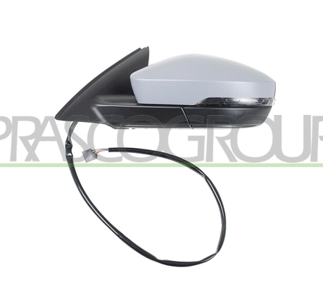 Exterior Mirror (SK0307304)