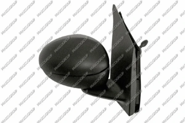 Exterior Mirror (CI2017113)