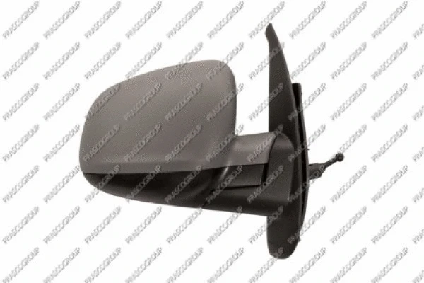 Exterior Mirror (RN9217013)