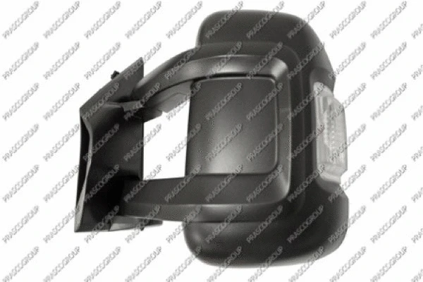 Exterior Mirror (FT9307015)