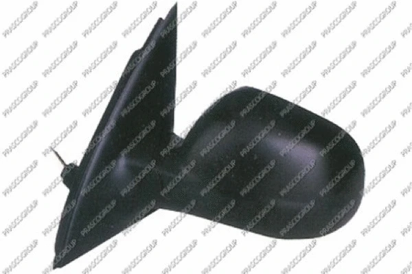 Exterior Mirror (ST0017114)